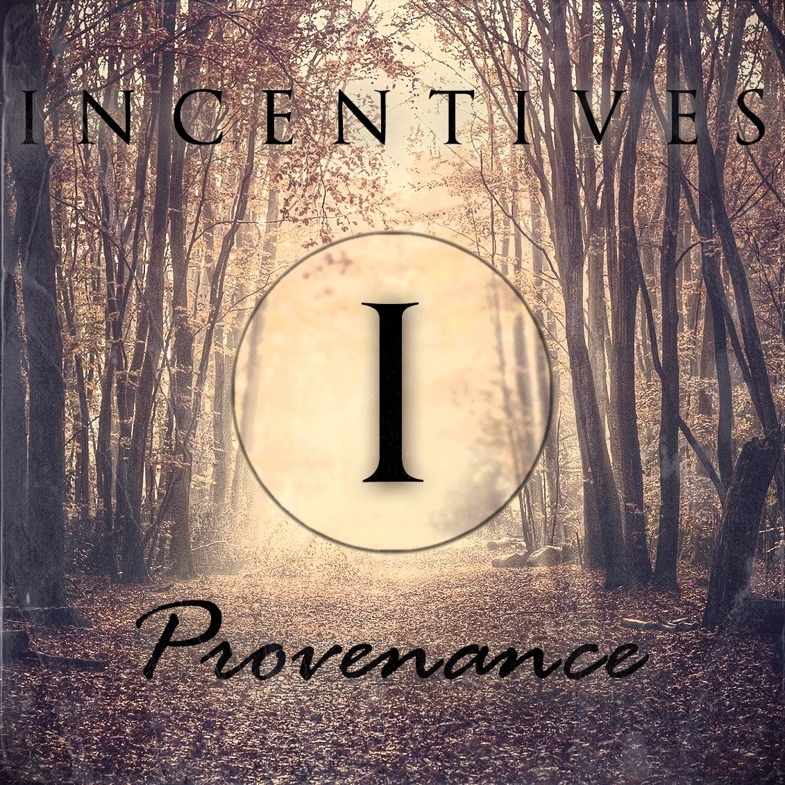 Incentives - Provenance [2-Track EP] (2013)